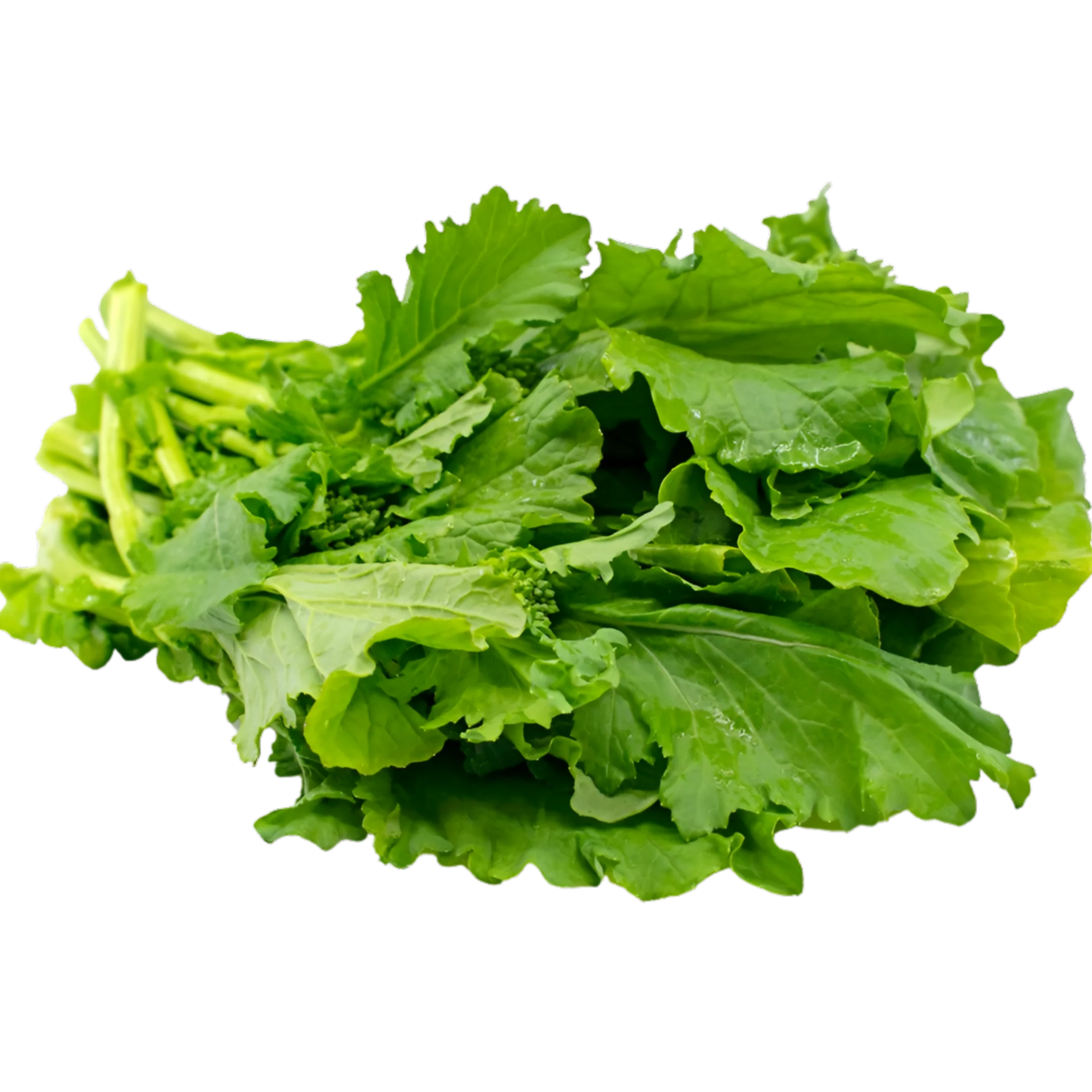 Rapini Rapini Leaves (Bunch) 